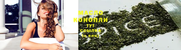 дмт Аркадак