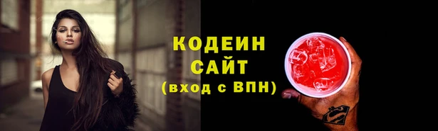 крисы Армянск