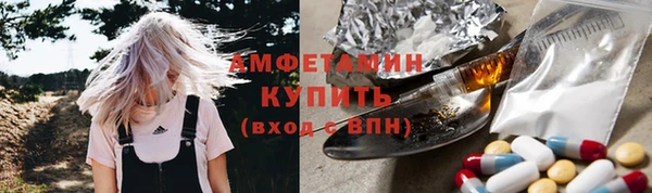 крисы Армянск